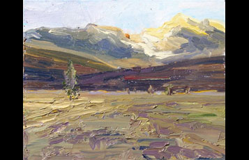"Sawtooth Meadow"