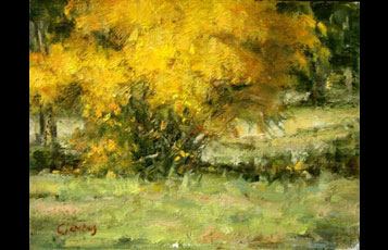 "Golden Bush"