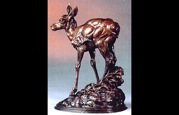 "Antelope Fawn"