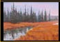 "Yellowstone Light"
