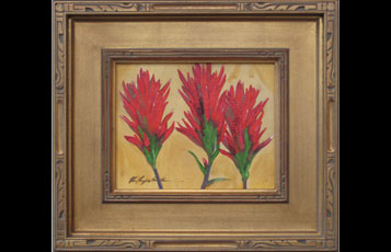 "Indian Paintbrush"